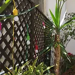 Apartman Casa Felice Nel Centro Storico, Ascensore E Terrazzo *